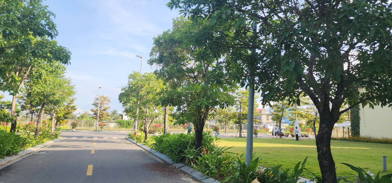 z6621033286119-513a989812bd809c058ae22cdbaf8c00