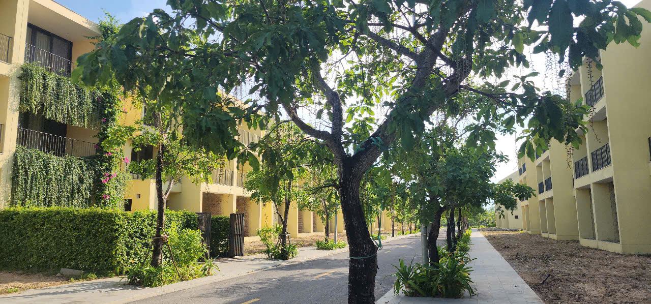 z6621033286845-fc2d684f5554c7c1a120c07dbe866787