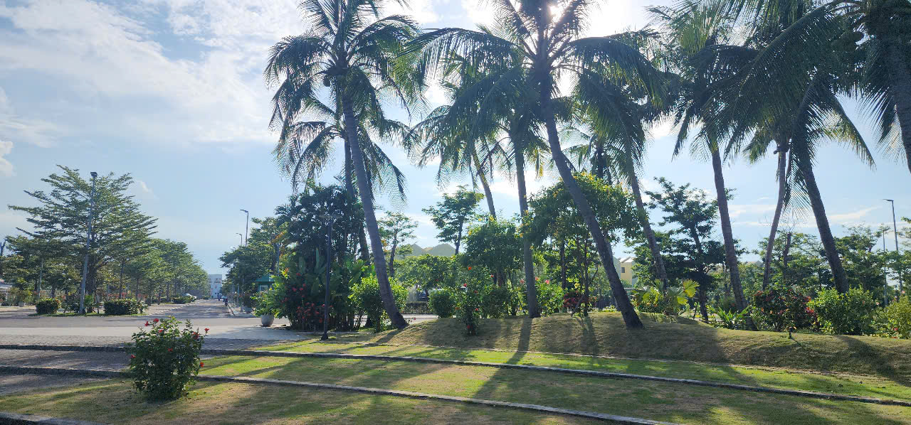 z6621033291580-c7446e57be65862a8a753747fce94e1a