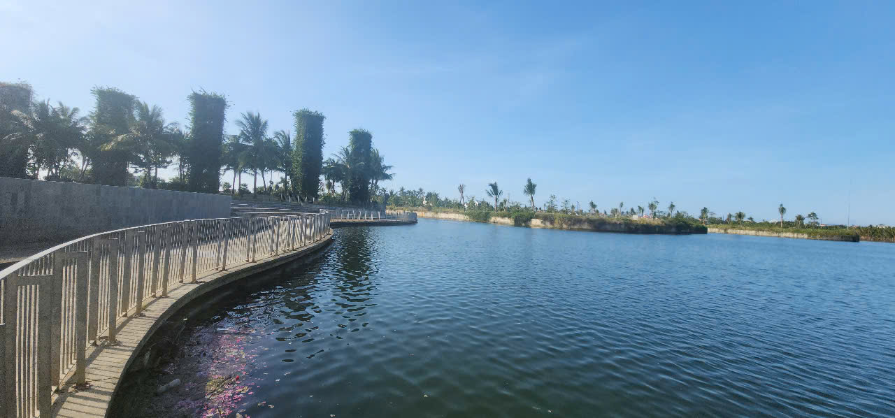 z6621033340282-55d687a3416876bb0629bb6d9dd28f83